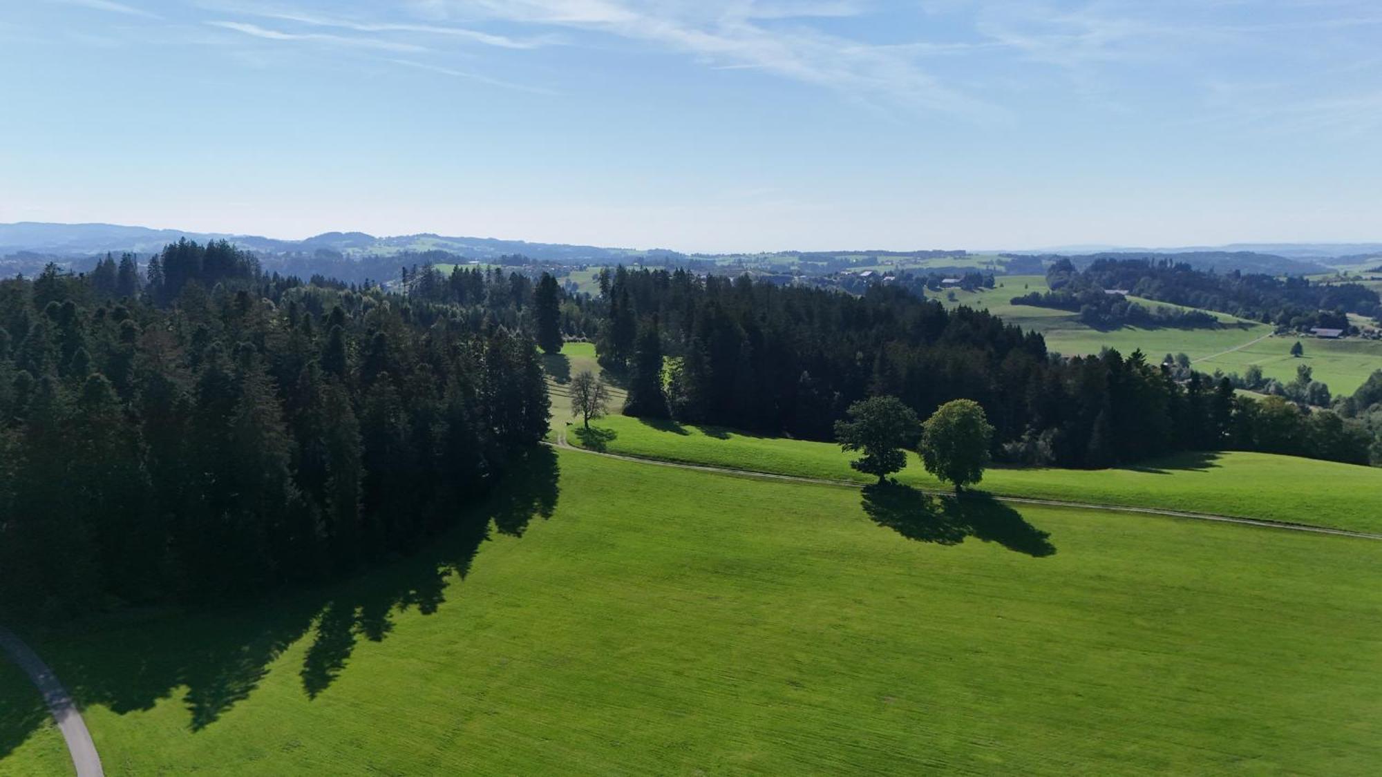 Altensberger Hof Gestratz Kültér fotó